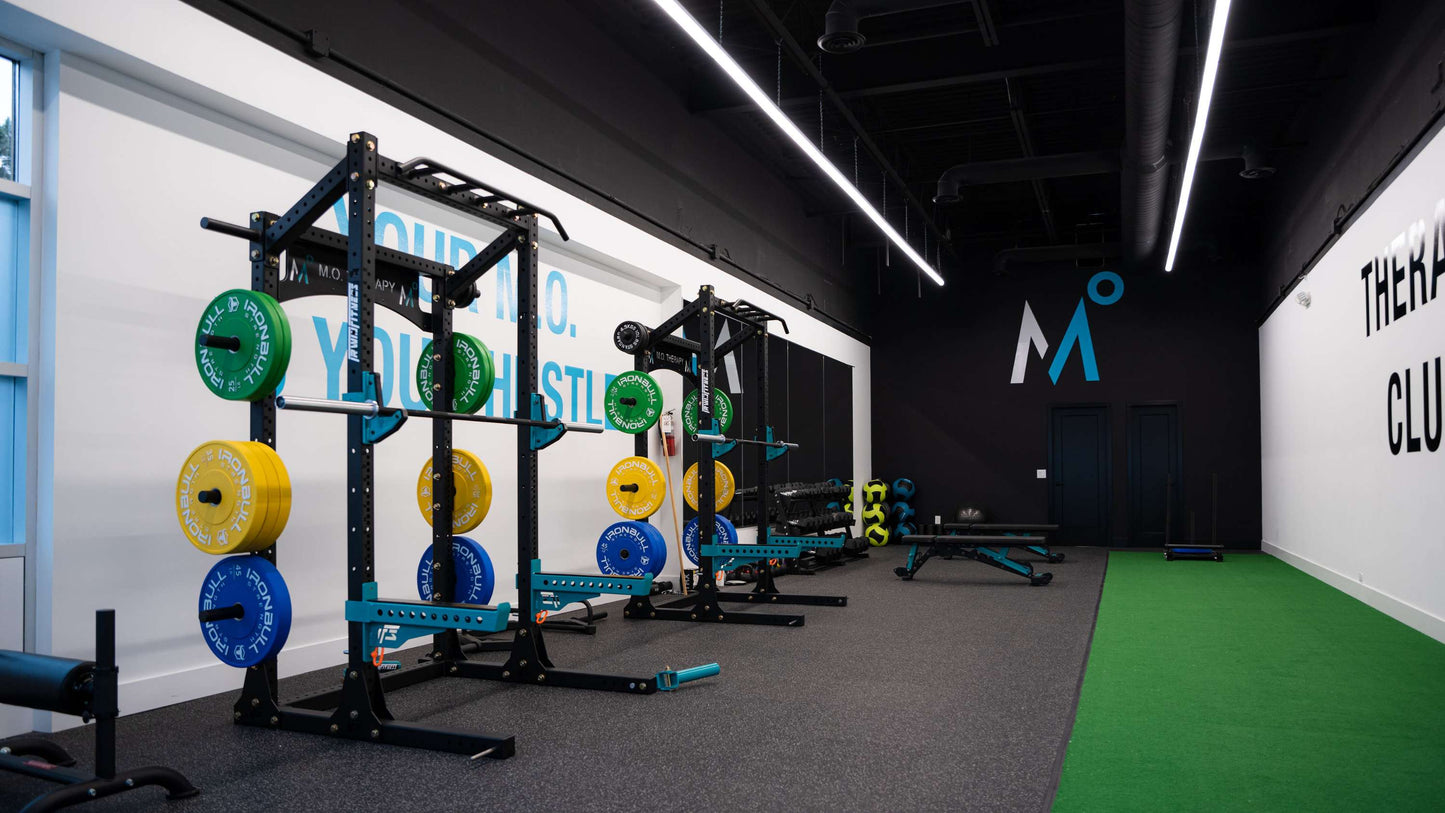 ALPHA SERIES LIMITED RHINO RACK 1.0