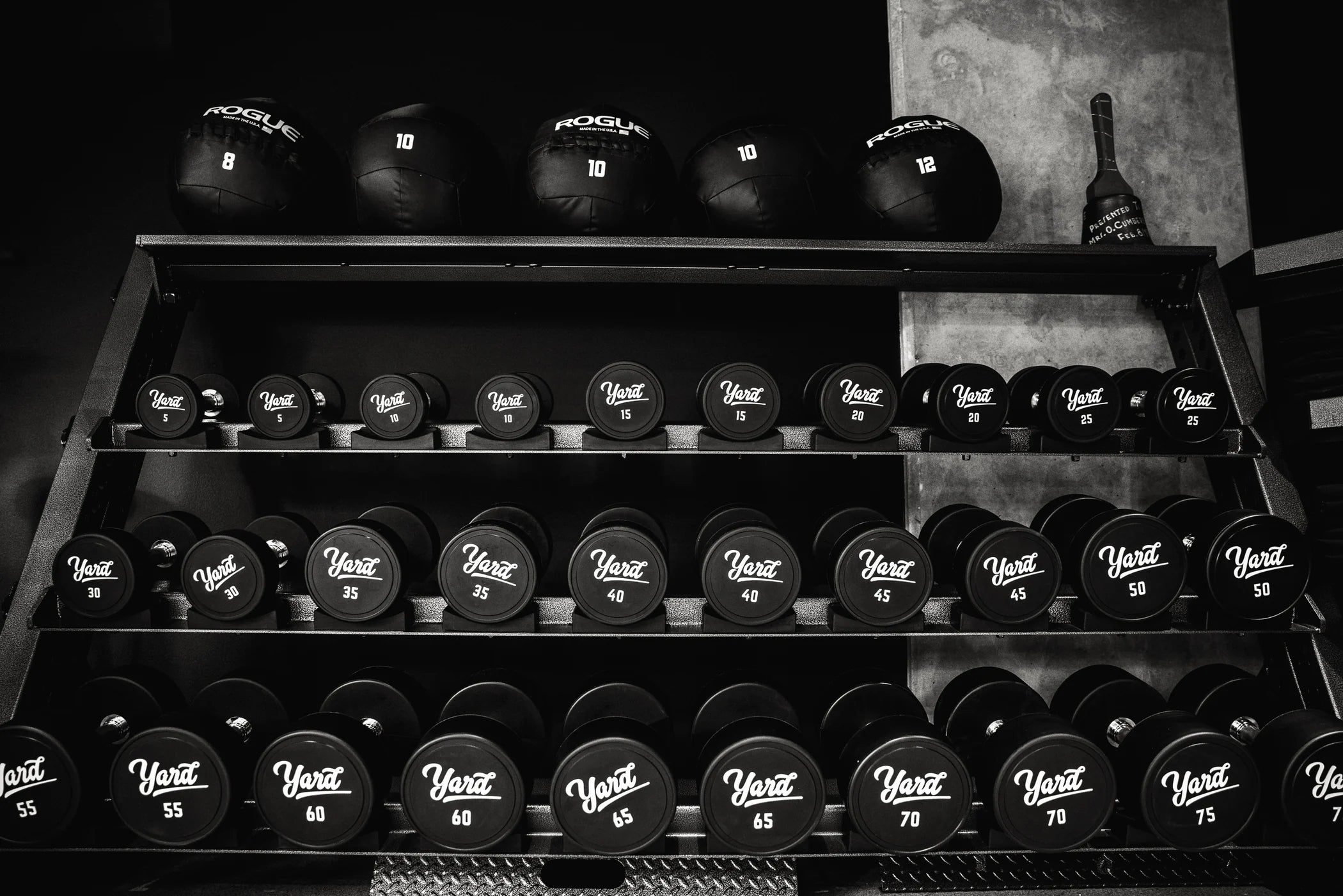 Commercial dumbbell wall