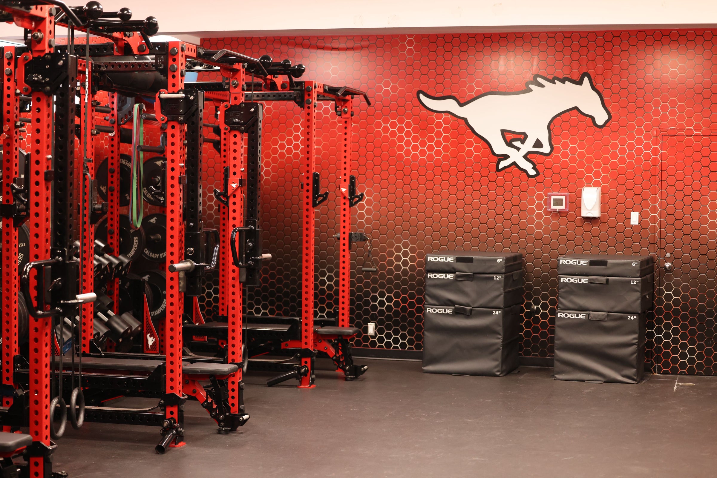 Calgary stampeders