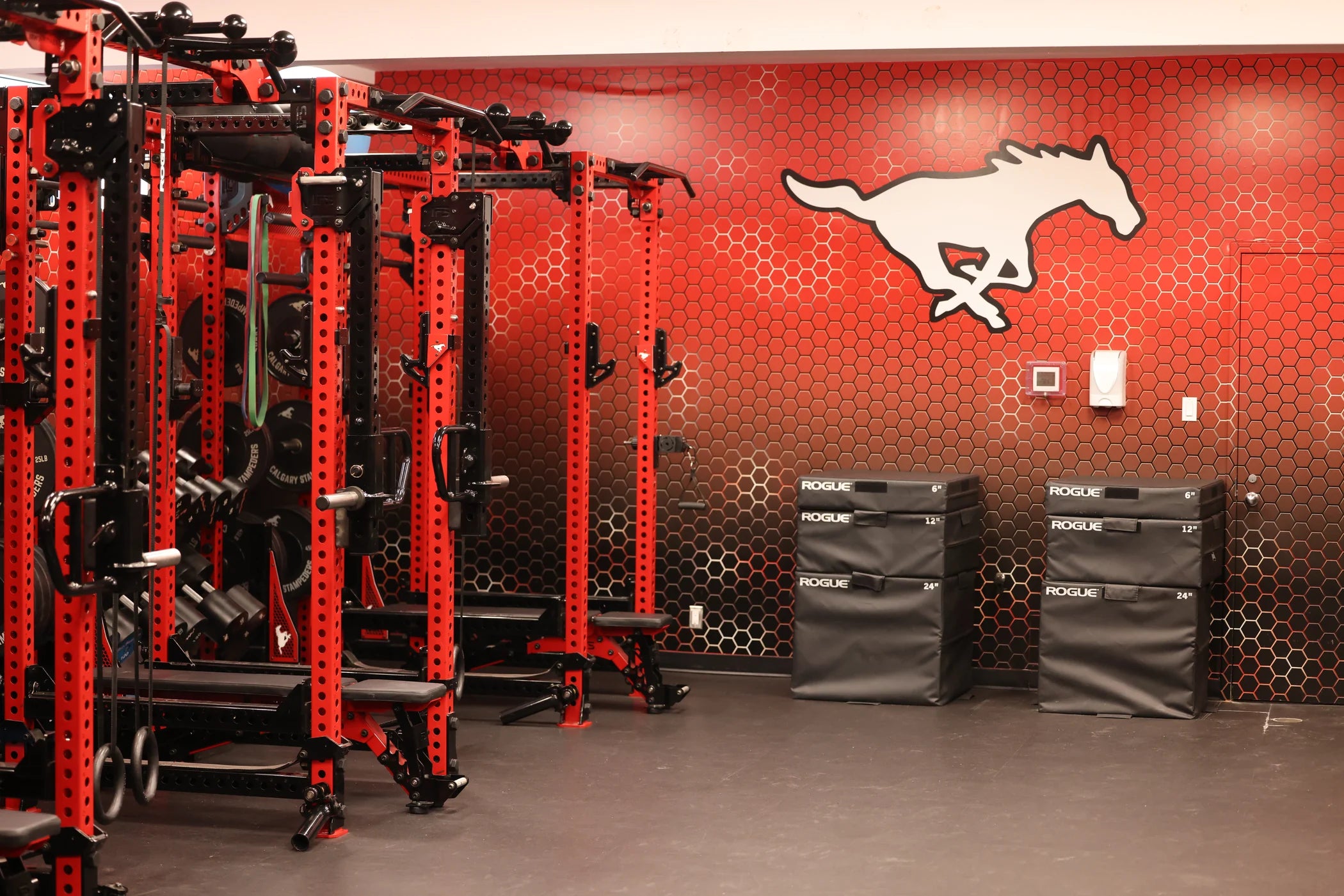 Calgary Stampeders